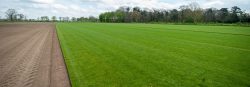 Grasveld graszodenserry