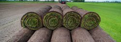 Graszoden bij Serry